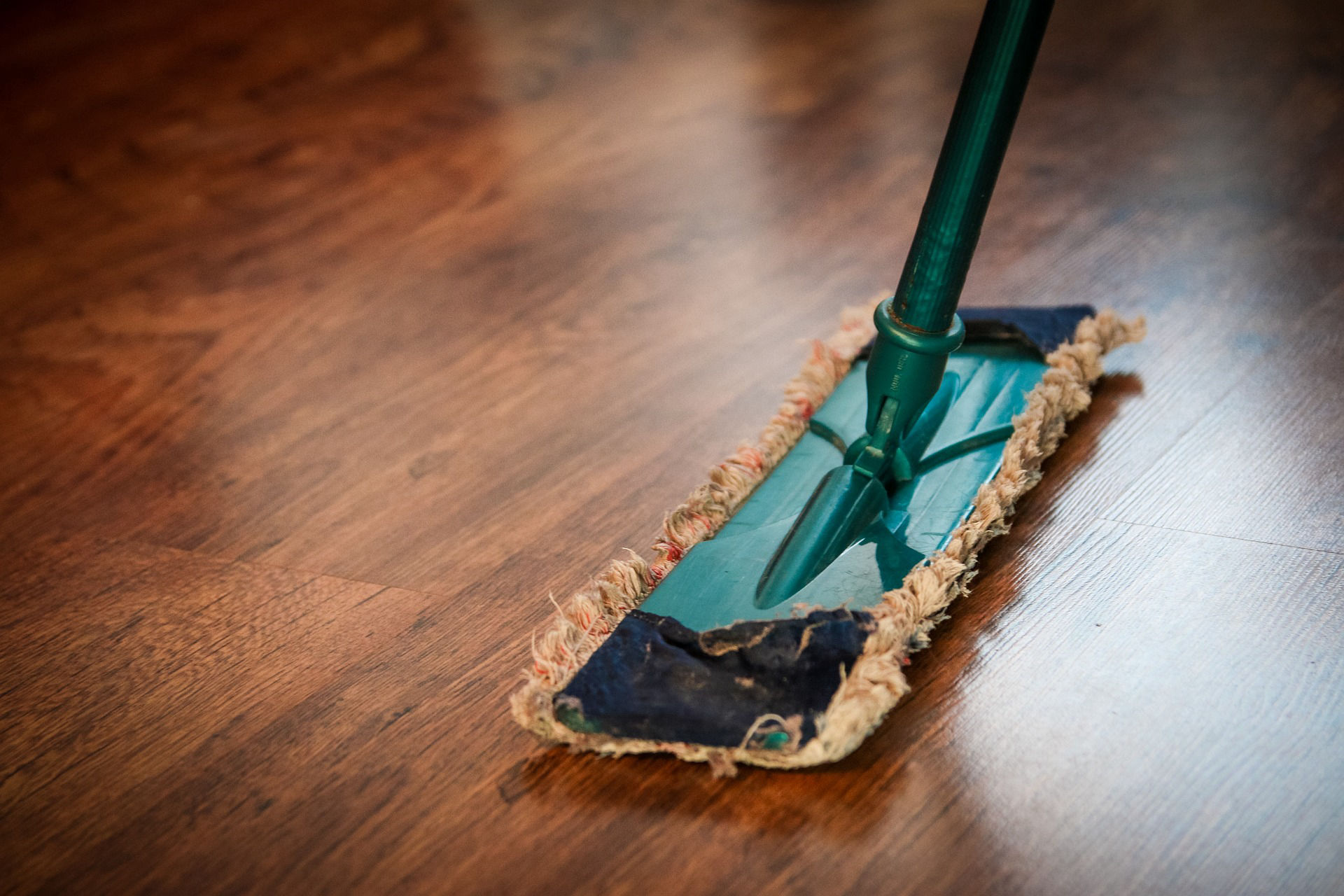 www.jimmicleanservice.it
